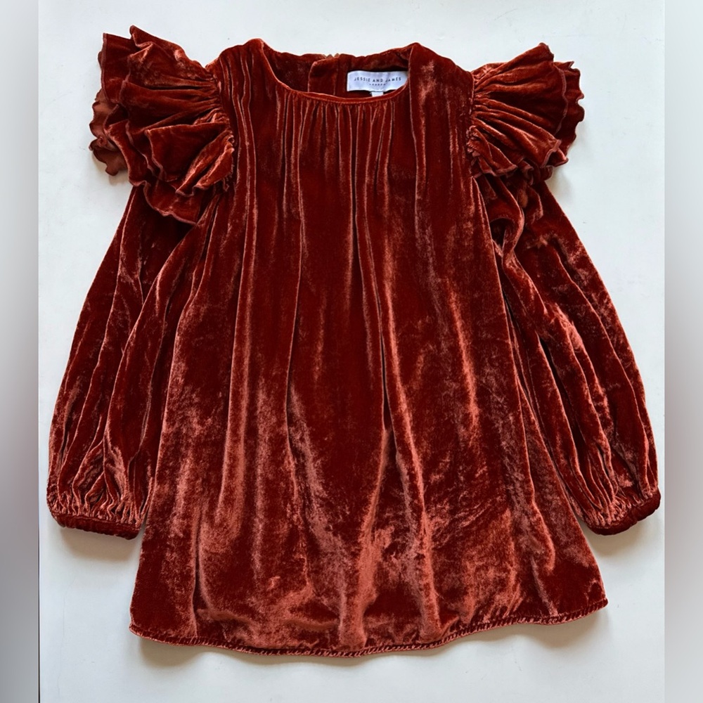 Jessie & James Girls Ava Velvet Holiday Dress, Burnt Orange - Size 4Y
